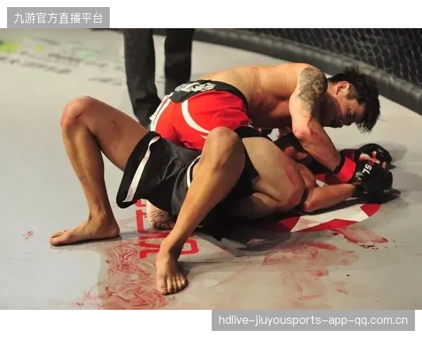MMA裁判尺度统一化：提升比赛观感的关键之道